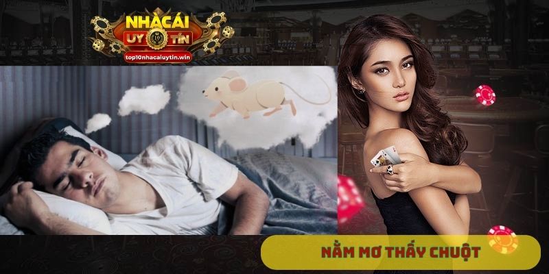 Nằm mơ thấy chuột
